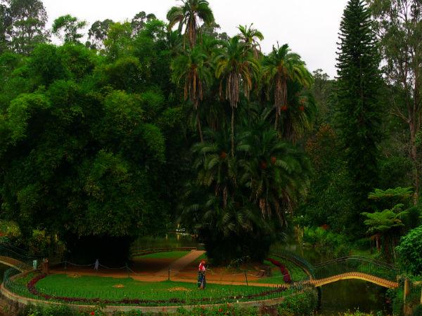 भारत के सर्वाधिक सुन्दर बाग़ बगीचे बोटैनिकल गार्डन 