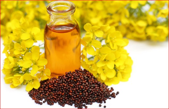 mustard oil