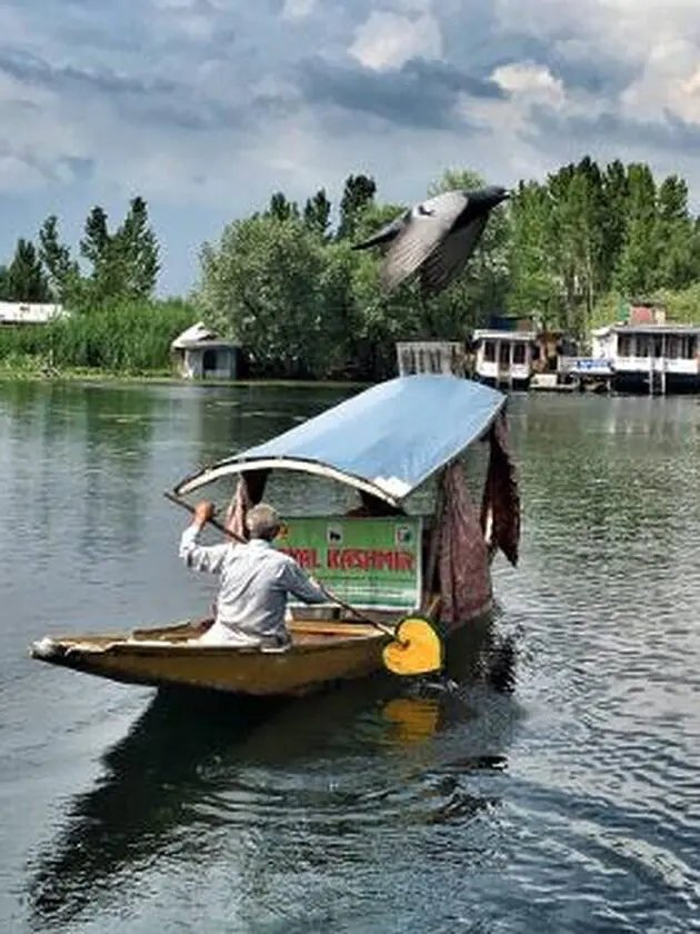 houseboat kashmir