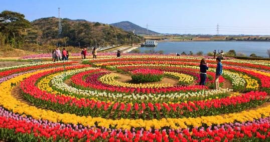 famous garden kashmir