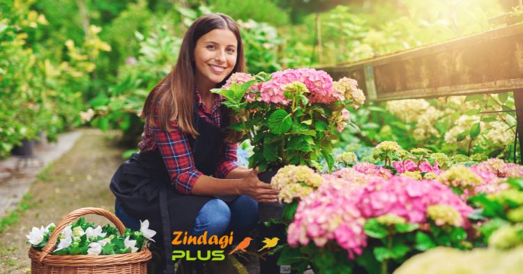 घरेलू बागवानी के टिप्स, घरेलू गार्डनिंग के टिप्स, Home Gardening Tips in Hindi