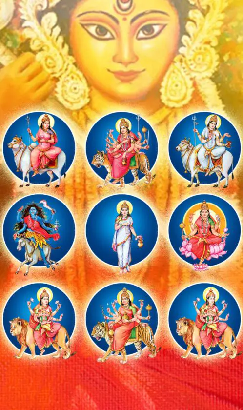स्टोरी 4