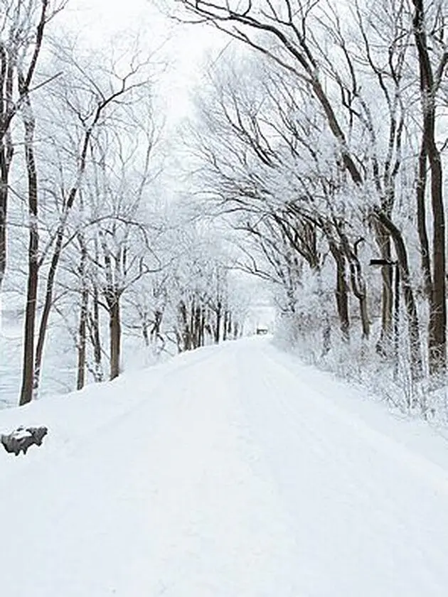 snow road